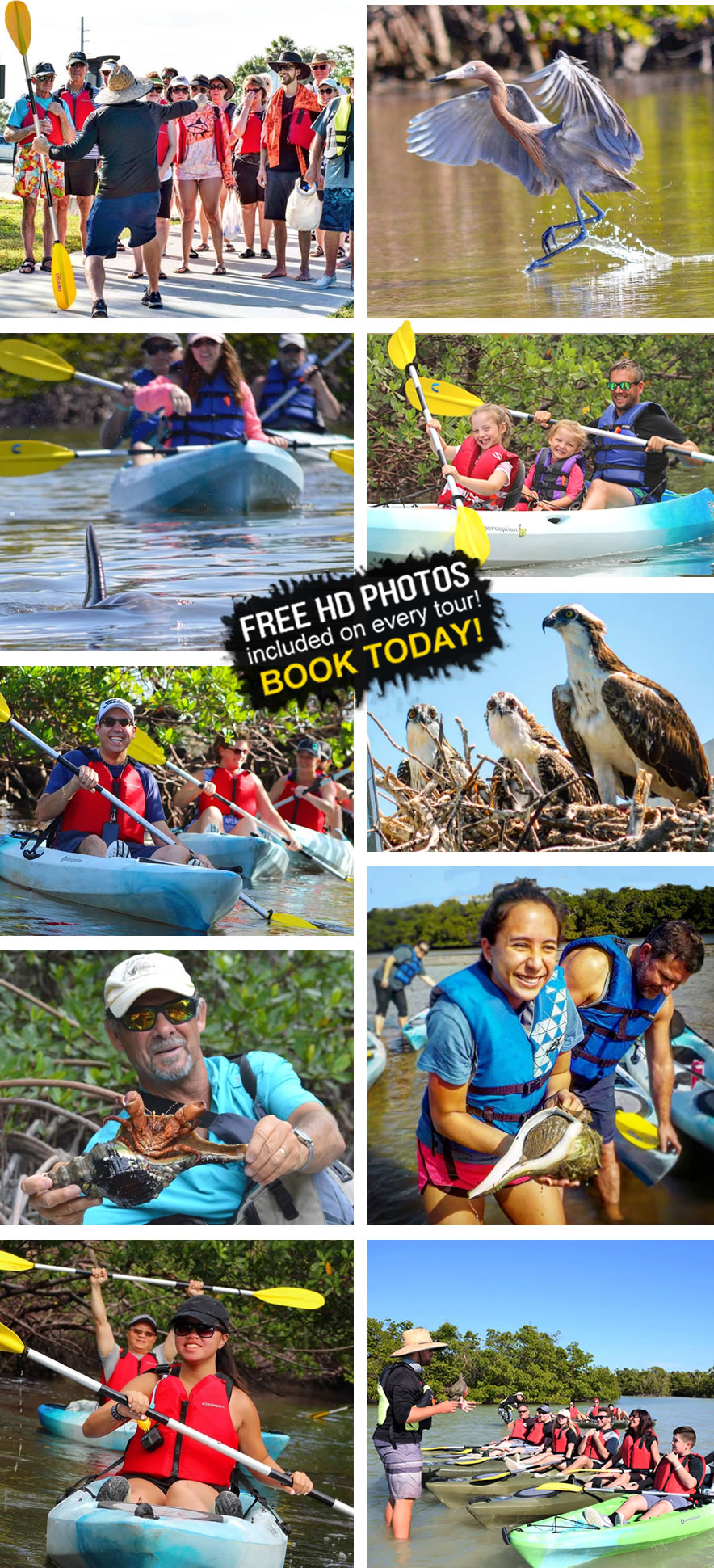 Kayak Tours in Naples Florida